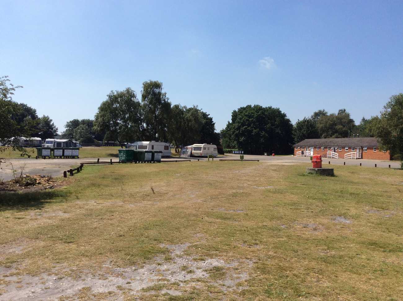 The New Forest - Holmsley campsite